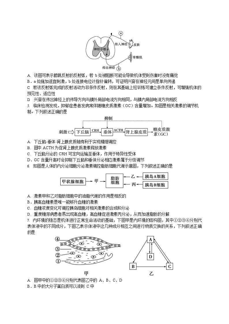 江苏省宿迁中学2025-2026学年高二上学期10月考试生物试卷第2页