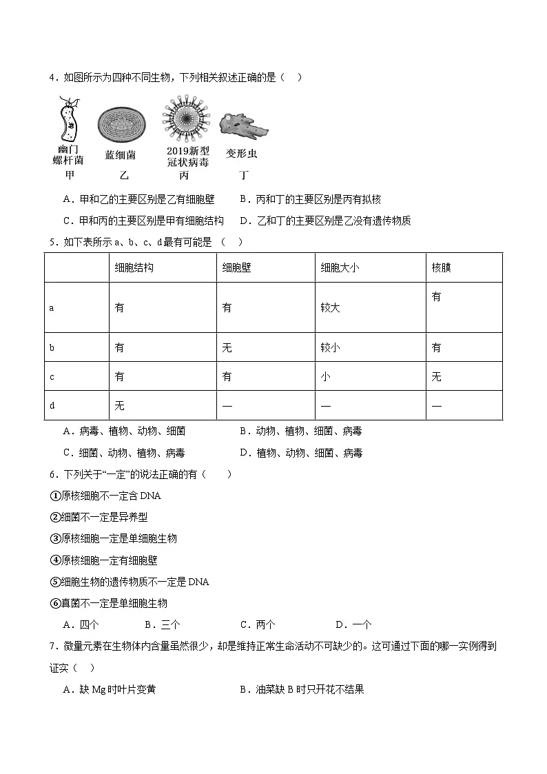 陕西省西北工业大学附属中学2025-2026学年高一上学期10月考试生物试卷第2页