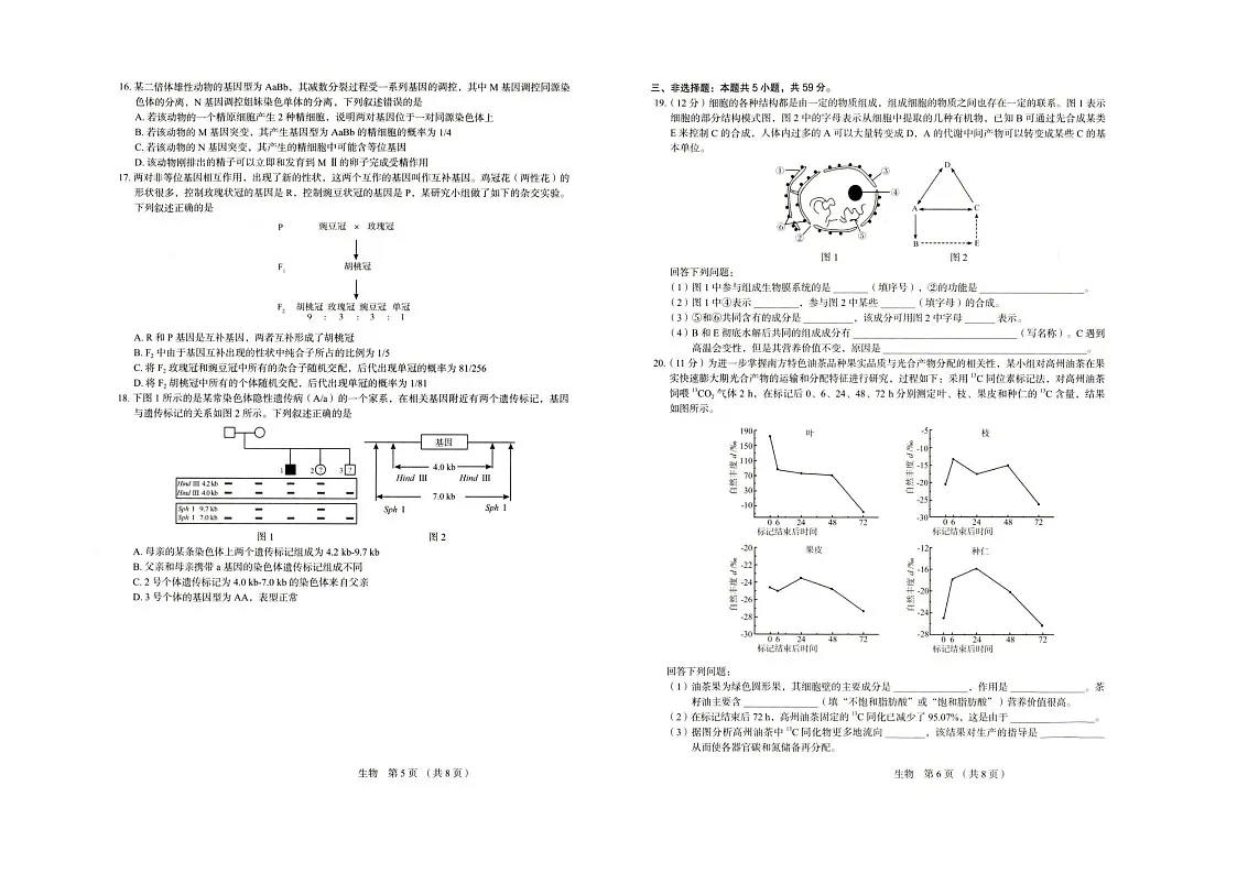 河北省保定市2025-2026学年高三上学期11月期中考试生物试卷第3页