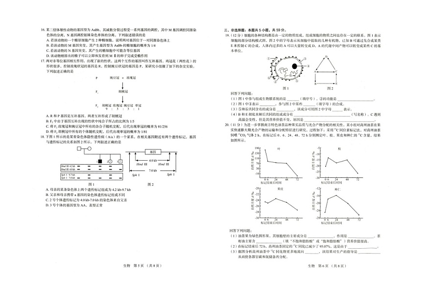 河北省保定市2025-2026学年高三上学期11月期中考试生物试卷第3页