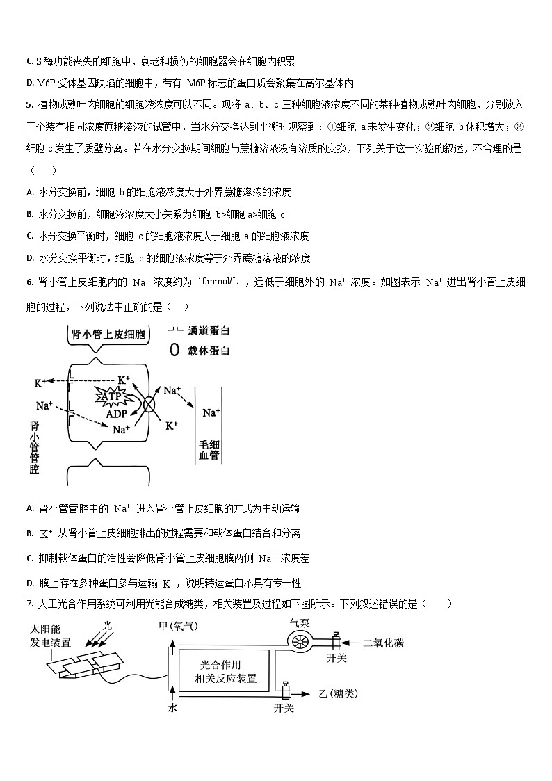 吉林省通化市梅河口市第五中学2025-2026学年高三上学期10月期中考试生物试卷第2页