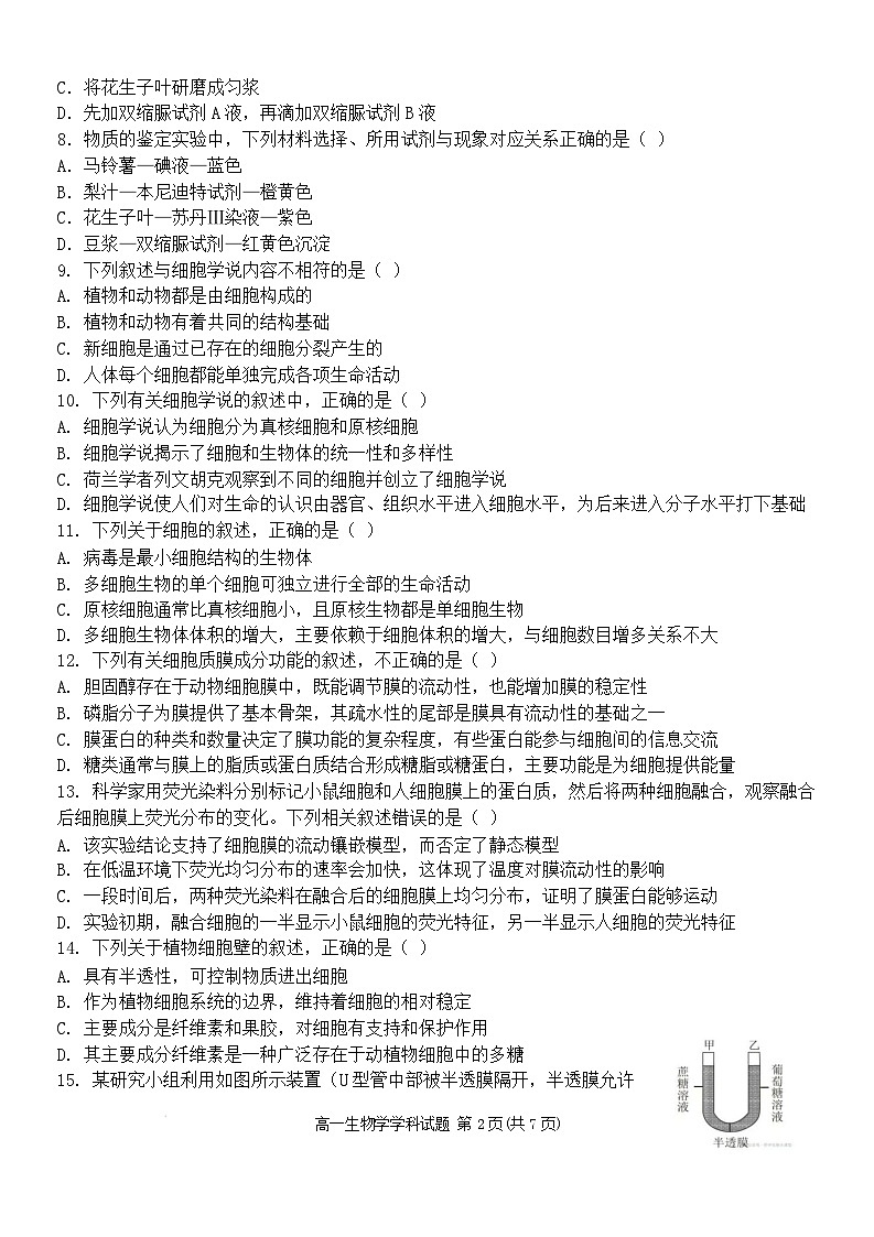 浙江省嘉兴市八校联盟2025-2026学年高一上学期期中考试生物试卷（Word版附答案）第2页