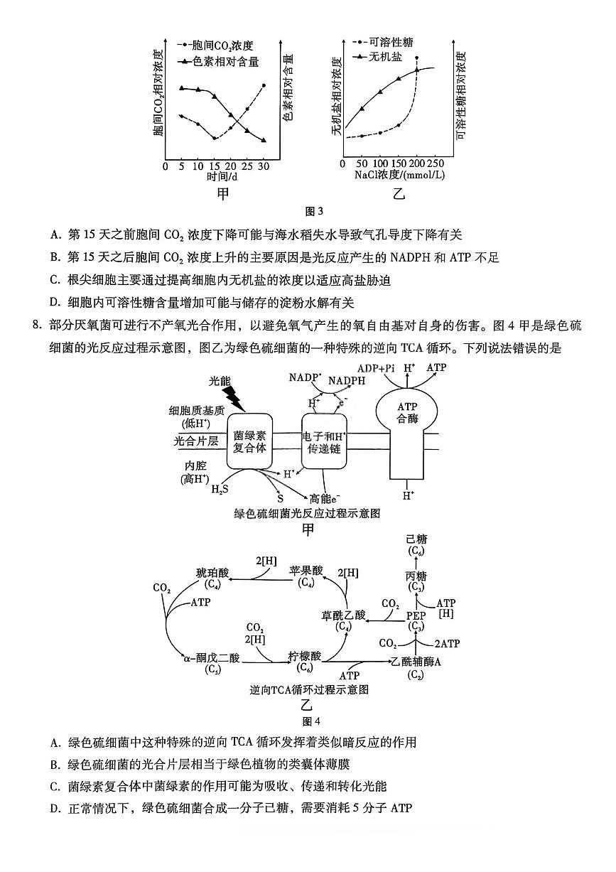 重庆市巴蜀中学2026届高三上学期10月月考（三上学期）生物试题+答案第3页
