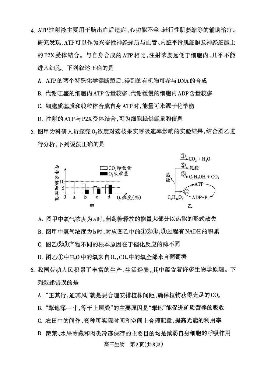 山西省吕梁市2026届高三上学期10月阶段性测试生物试题+答案第2页