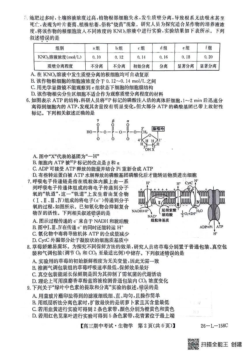 黑龙江省齐齐哈尔普高联谊2026届高三上学期10月期中考生物试题无答案第2页