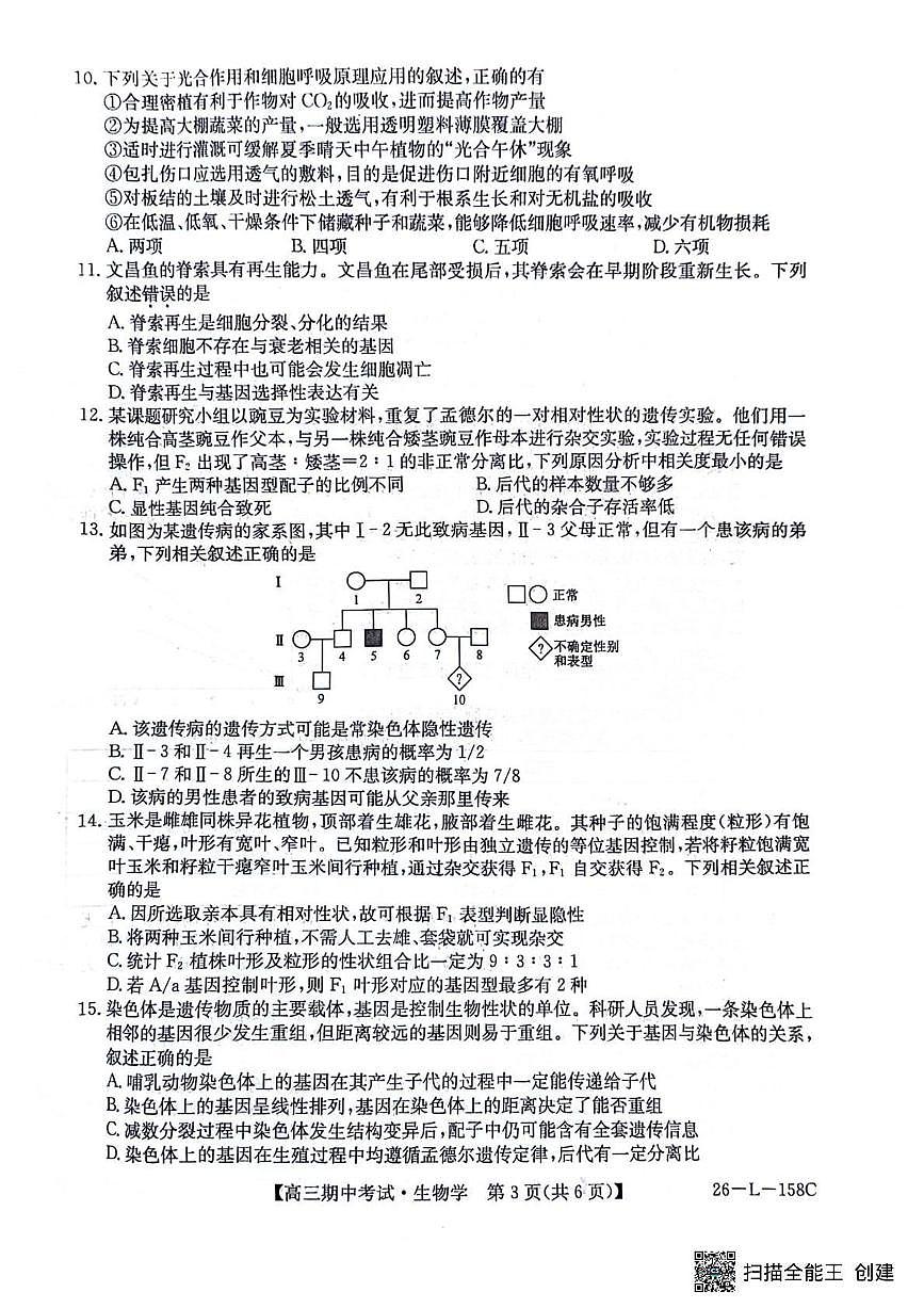 黑龙江省齐齐哈尔普高联谊2026届高三上学期10月期中考生物试题无答案第3页