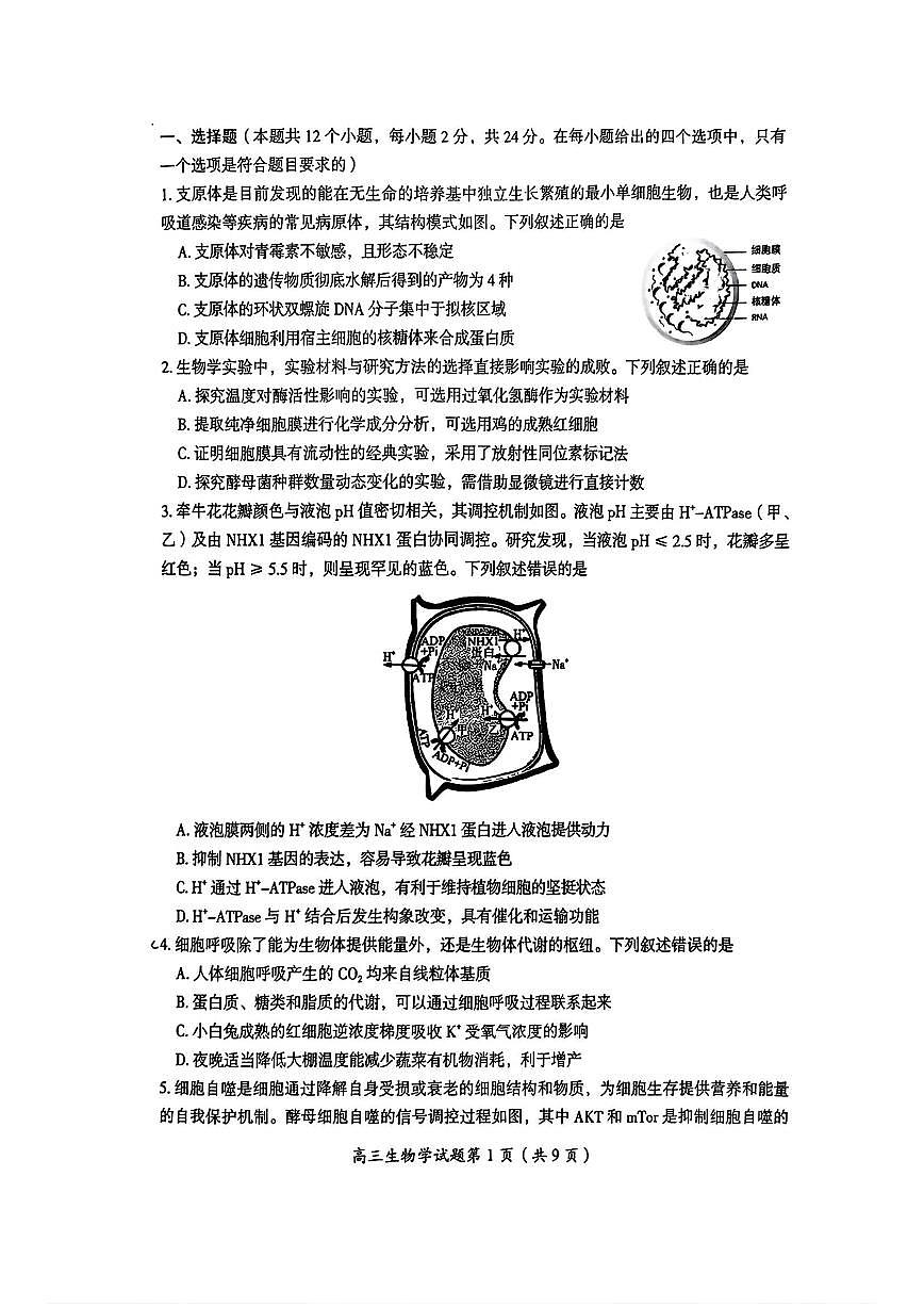 湖南省郴州市2026届高三上学期第一次教学质量监测生物试卷（PDF版附答案）第2页