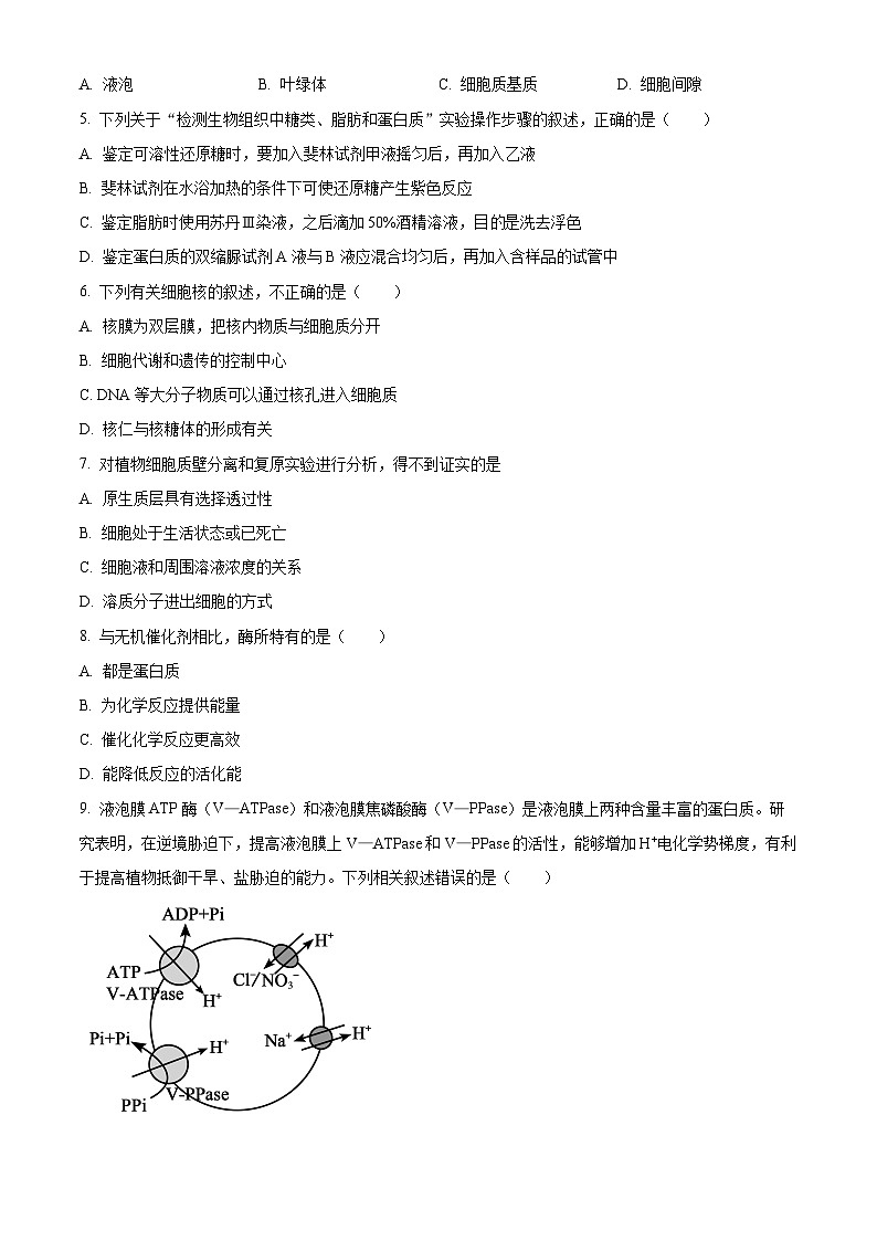 山西省晋中市部分学校2025-2026学年高三上学期10月学情检测生物试题 Word版无答案第2页