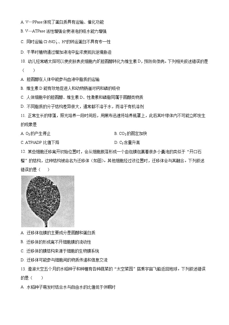 山西省晋中市部分学校2025-2026学年高三上学期10月学情检测生物试题 Word版无答案第3页