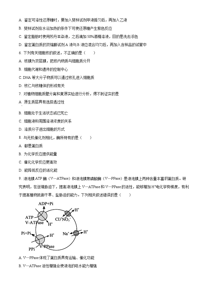 山西省三重教育2026届高三上学期10月学情检测生物试卷  Word版无答案第2页
