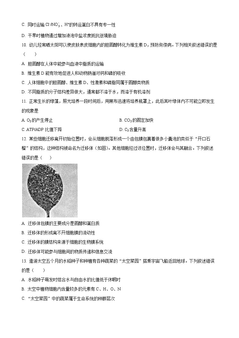 山西省三重教育2026届高三上学期10月学情检测生物试卷  Word版无答案第3页