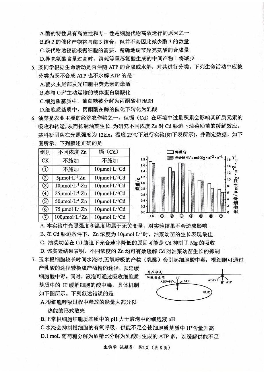 绵阳市高中2023级第一次诊断性考试生物（其他地区B卷）第2页