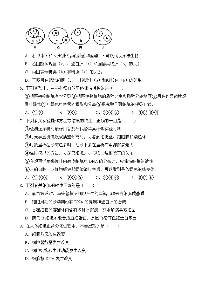 湖南省岳阳市岳阳县第一中学2024-2025学年高二上学期10月月考生物试题第2页