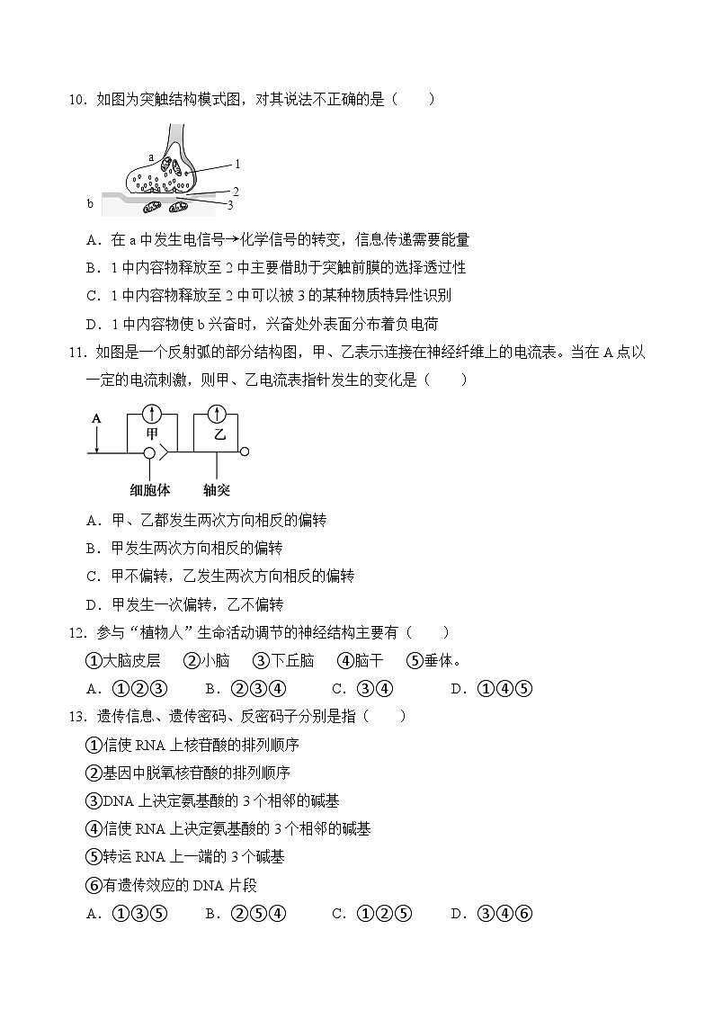 湖南省岳阳市岳阳县第一中学2024-2025学年高二上学期10月月考生物试题第3页