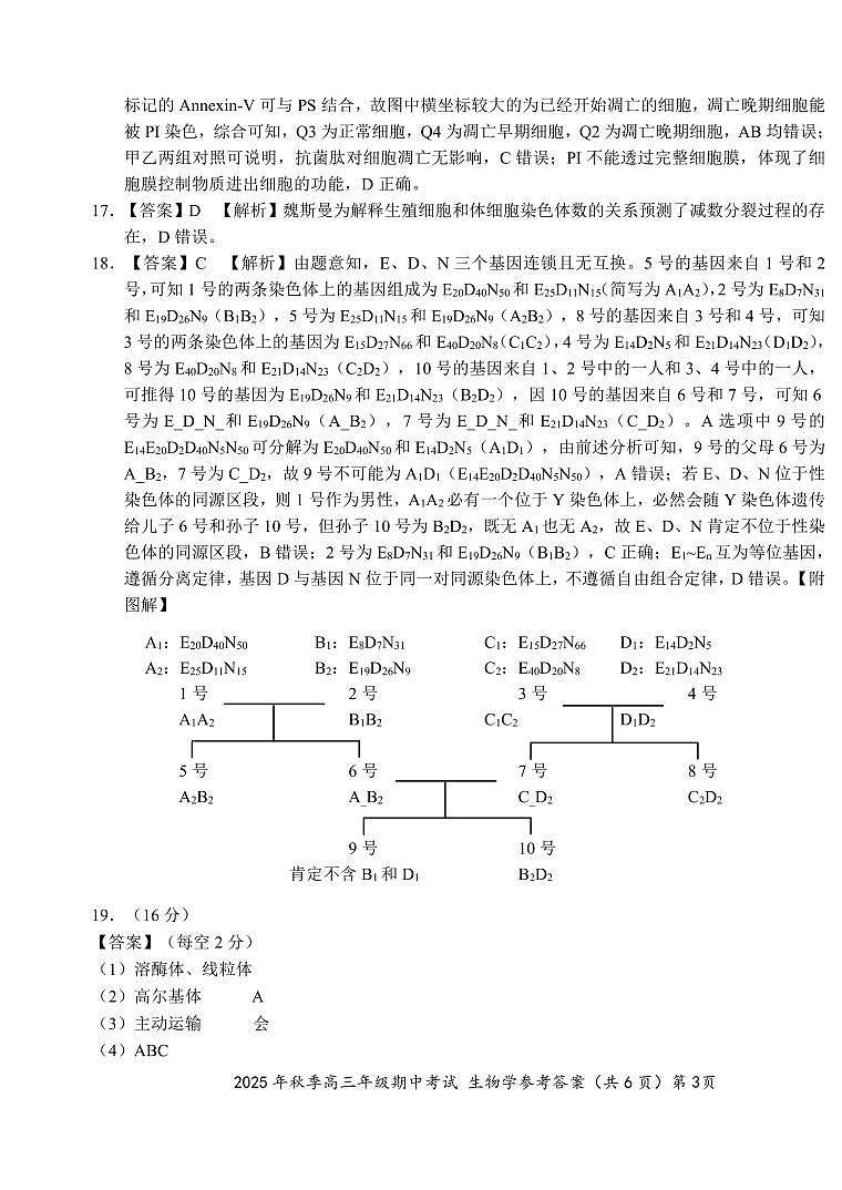 【高三11月鄂东南联考】生物参考答案第3页