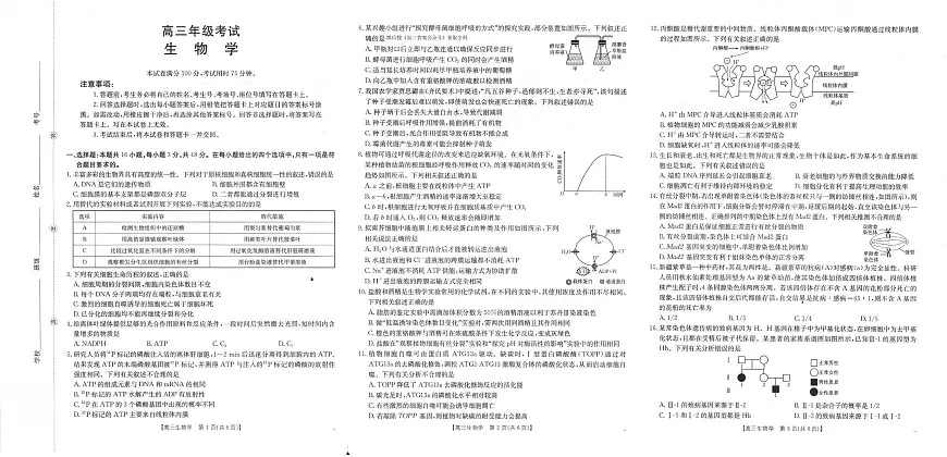 陕西省2026届高三上学期10月联考生物试卷（PDF版附解析）第1页