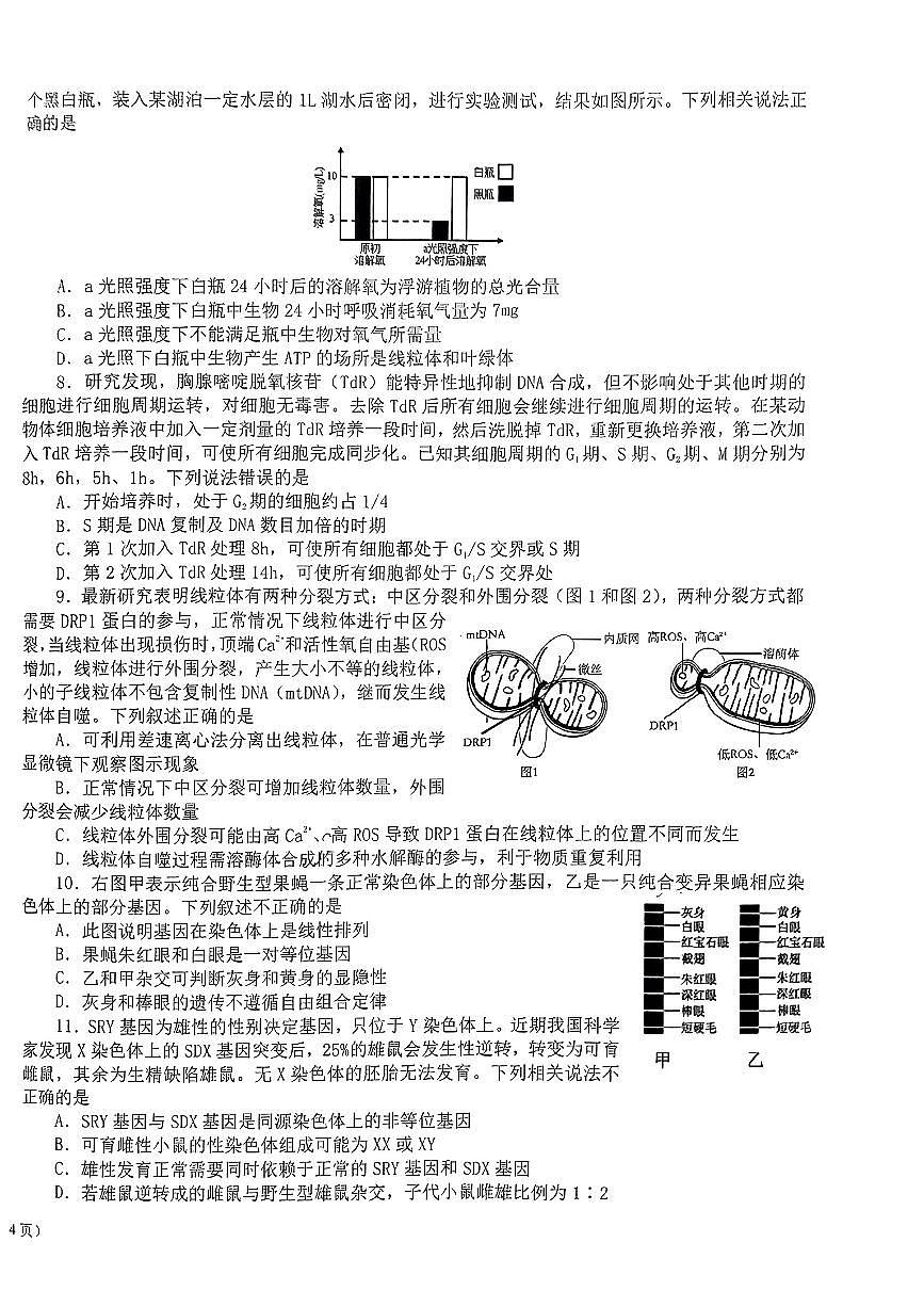 北京市十一学校2023-2024学年高一上学期期末考试生物试题第2页