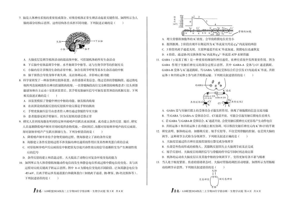 安徽省（A卷）1号卷A10联盟2024级高二上学期10月学情诊断生物学A第2页