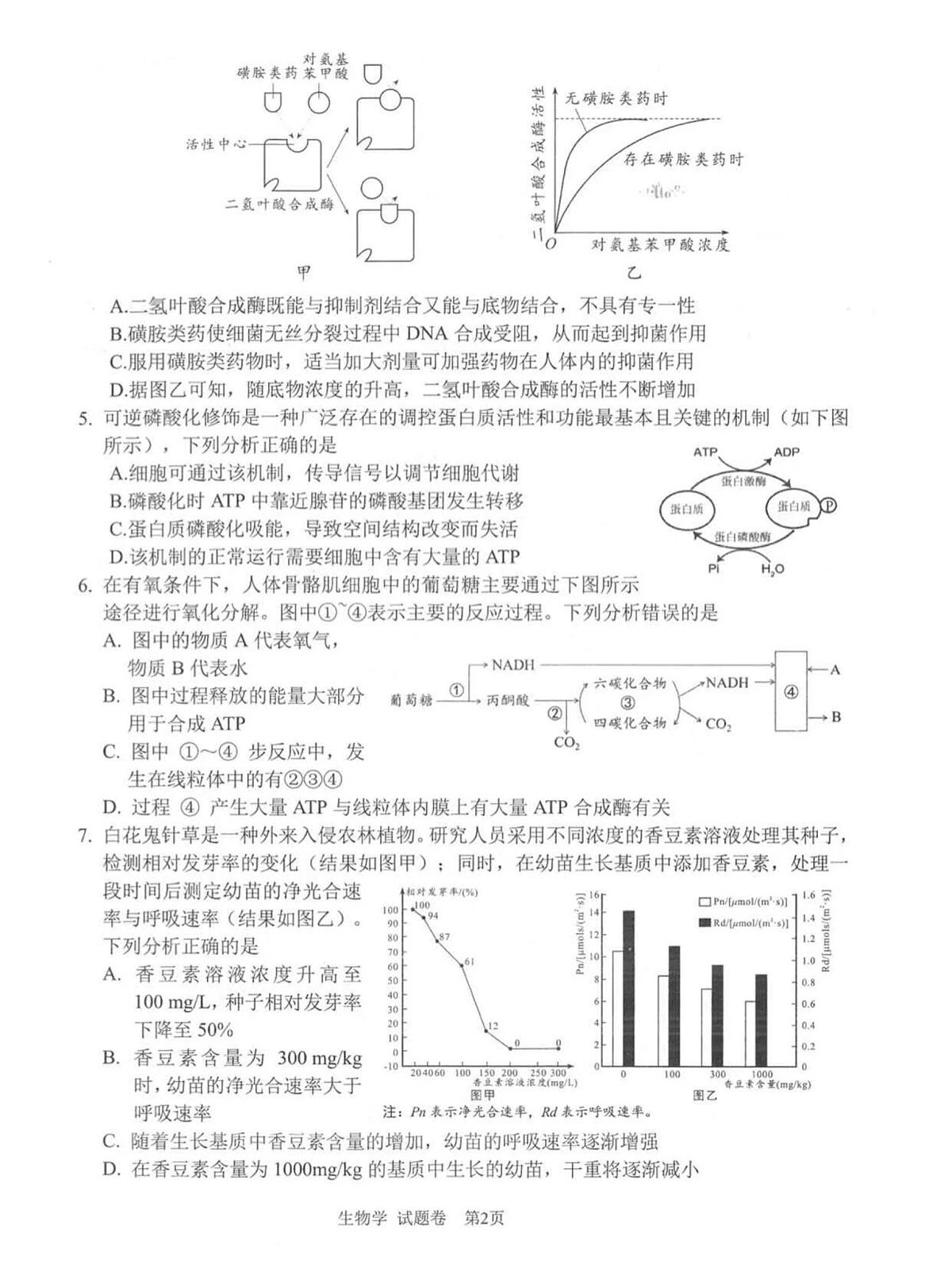 2026届四川省绵阳市高三上学期第一次诊断考试生物试题（月考）第2页