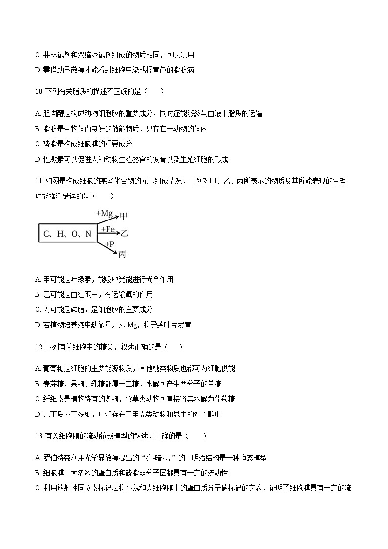 湖北省黄冈市黄梅县育才高级中学2025-2026学年高一上学期10月期中生物试卷第3页
