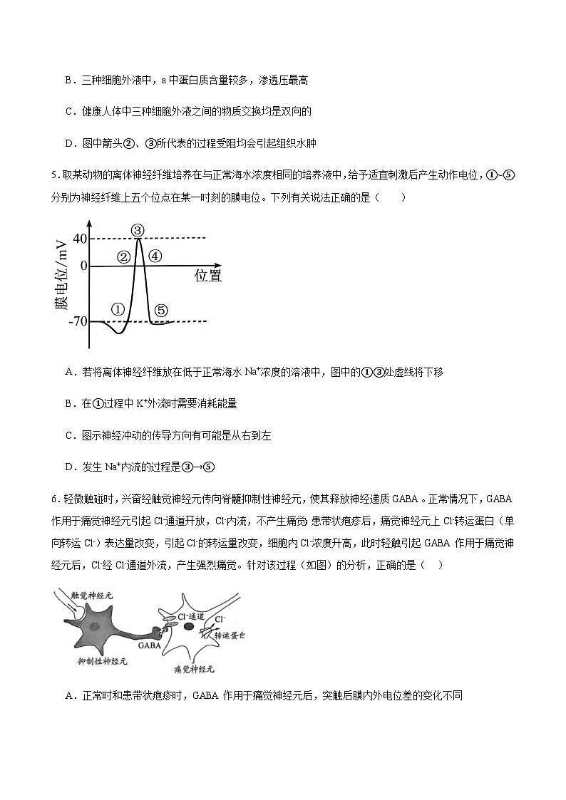 辽宁省沈阳市第一二0中学2025-2026学年高二上学期第一次质量监测（10月）生物试卷（含答案）第3页