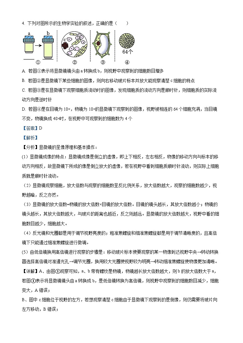 精品解析：辽宁省沈阳市第120中学2025-2026学年高一上学期第一次质量监测生物试题（解析版）第3页