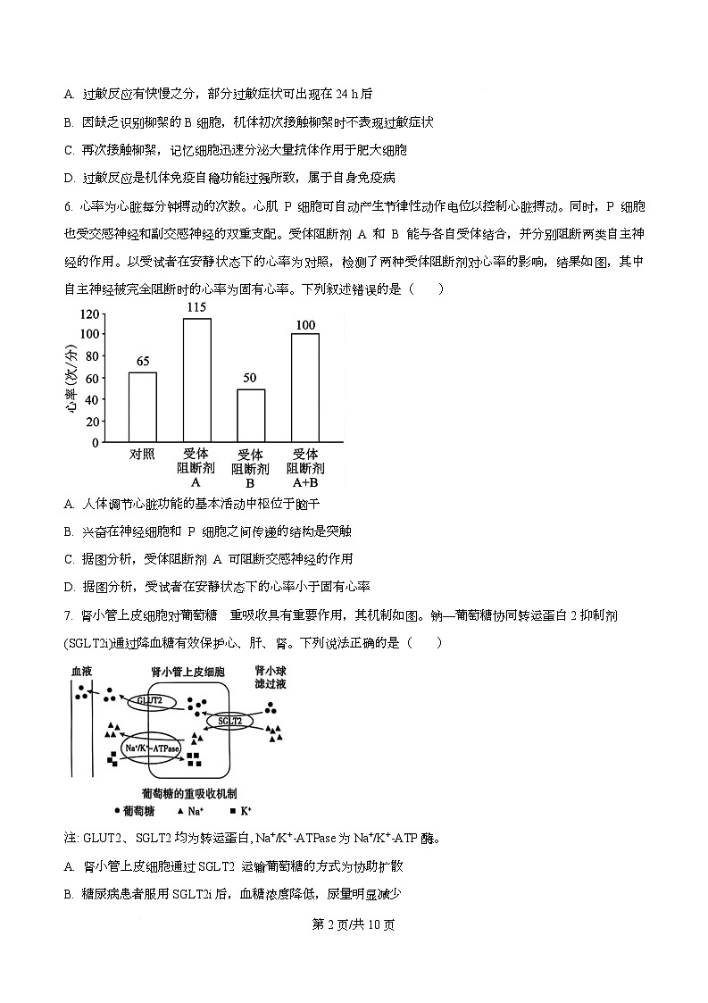 湖南省长沙市第一中学2025-2026学年高二上学期10月月考生物试题（原卷版）第2页