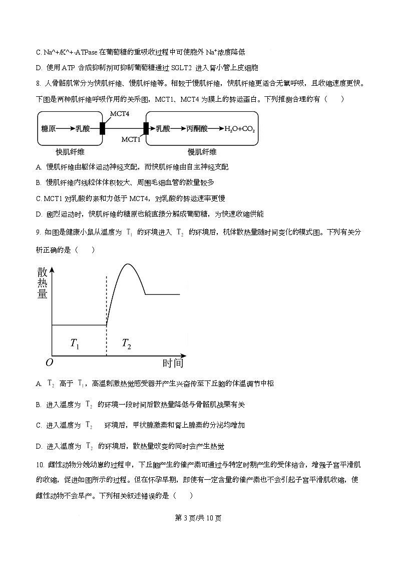 湖南省长沙市第一中学2025-2026学年高二上学期10月月考生物试题（原卷版）第3页