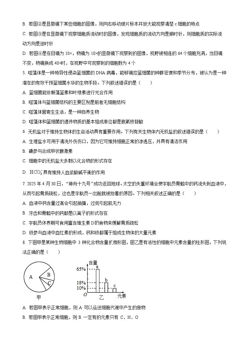 精品解析：辽宁省沈阳市第120中学2025-2026学年高一上学期第一次质量监测生物试题（原卷版）第2页