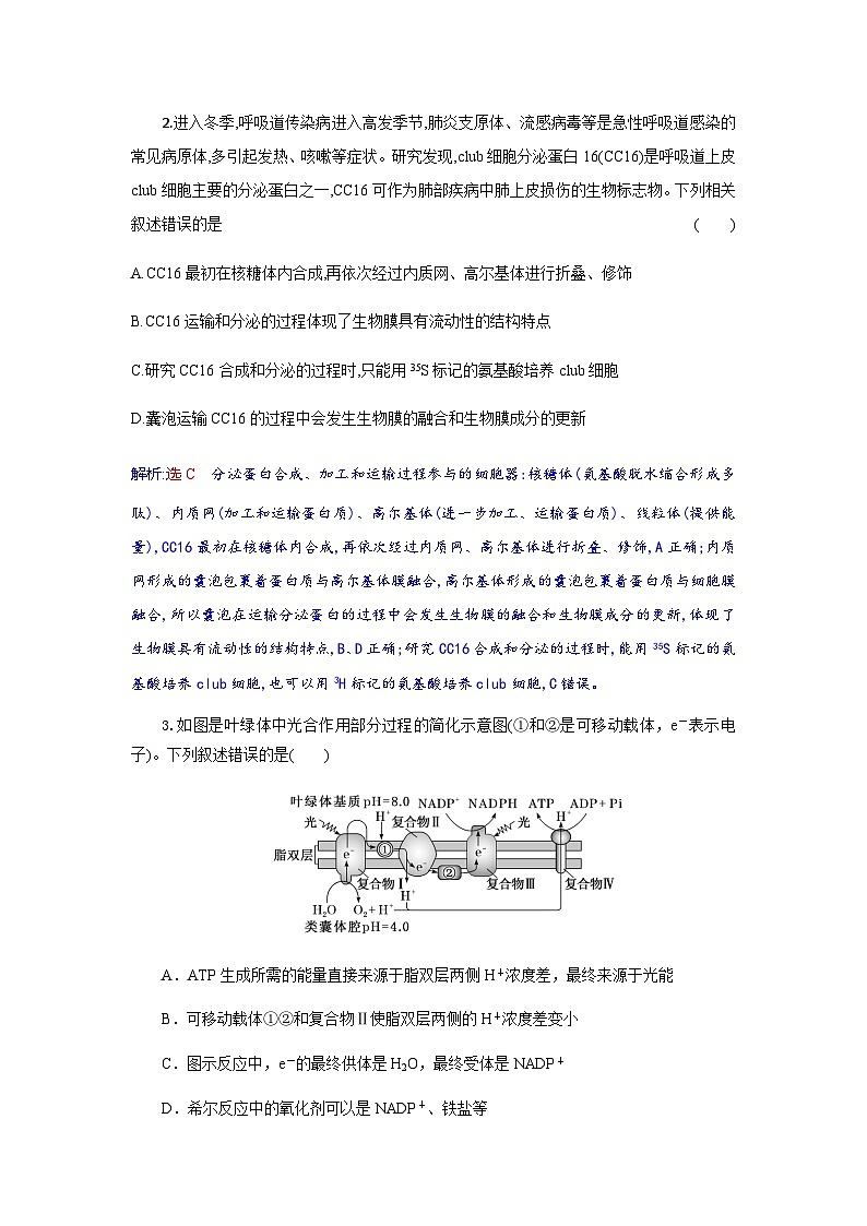 湖北省八校2026届高三上学期一模考试生物试卷（含答案解析）第2页