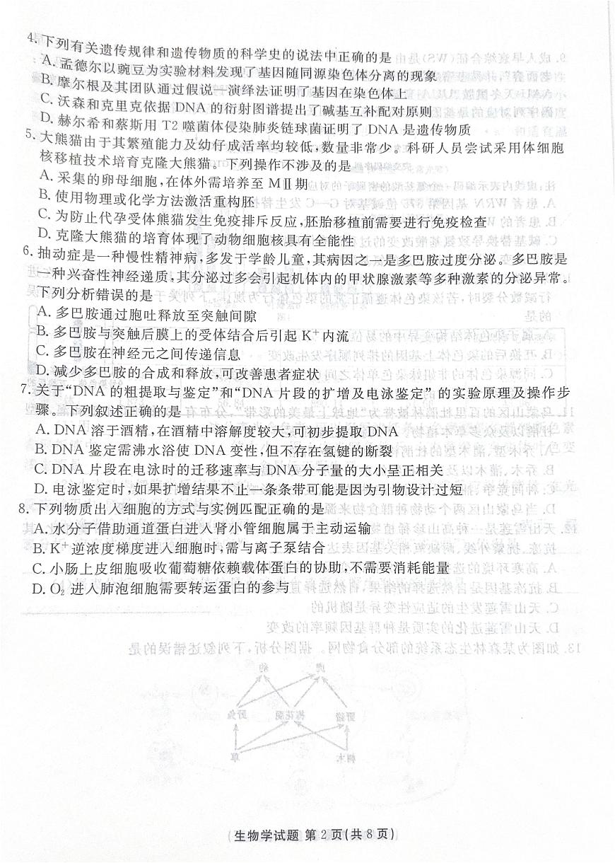 广东省湛江市2025—2026学年高三上学期第一次调研考试生物试题（月考）第2页