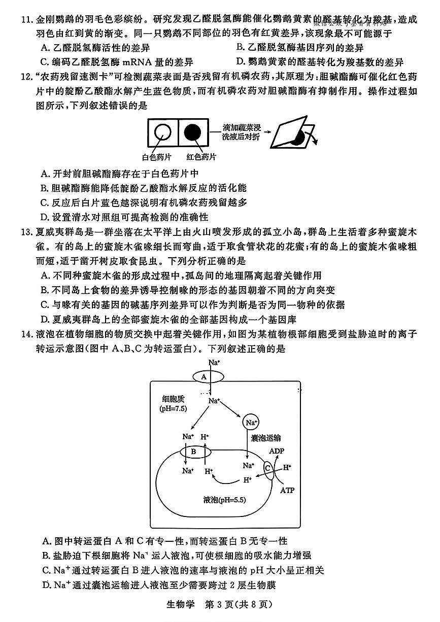 浙江省强基联盟2025-2026学年高三上学期10月联考生物试卷第3页