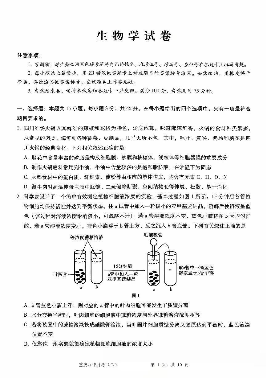 2026重庆市第八中学高三年级高考适应性月考卷（二）生物试卷（含答案）第1页