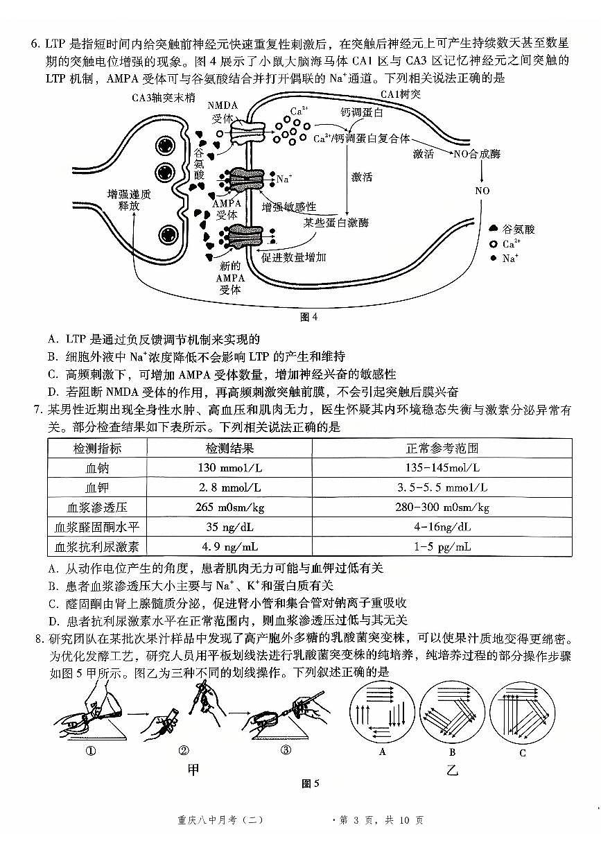 2026重庆市第八中学高三年级高考适应性月考卷（二）生物试卷（含答案）第3页