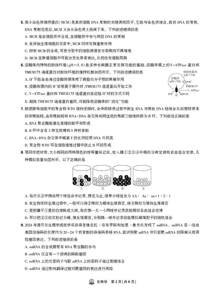 东北三省精准教学联盟2026届高三上学期10月联考强化卷生物试卷第2页