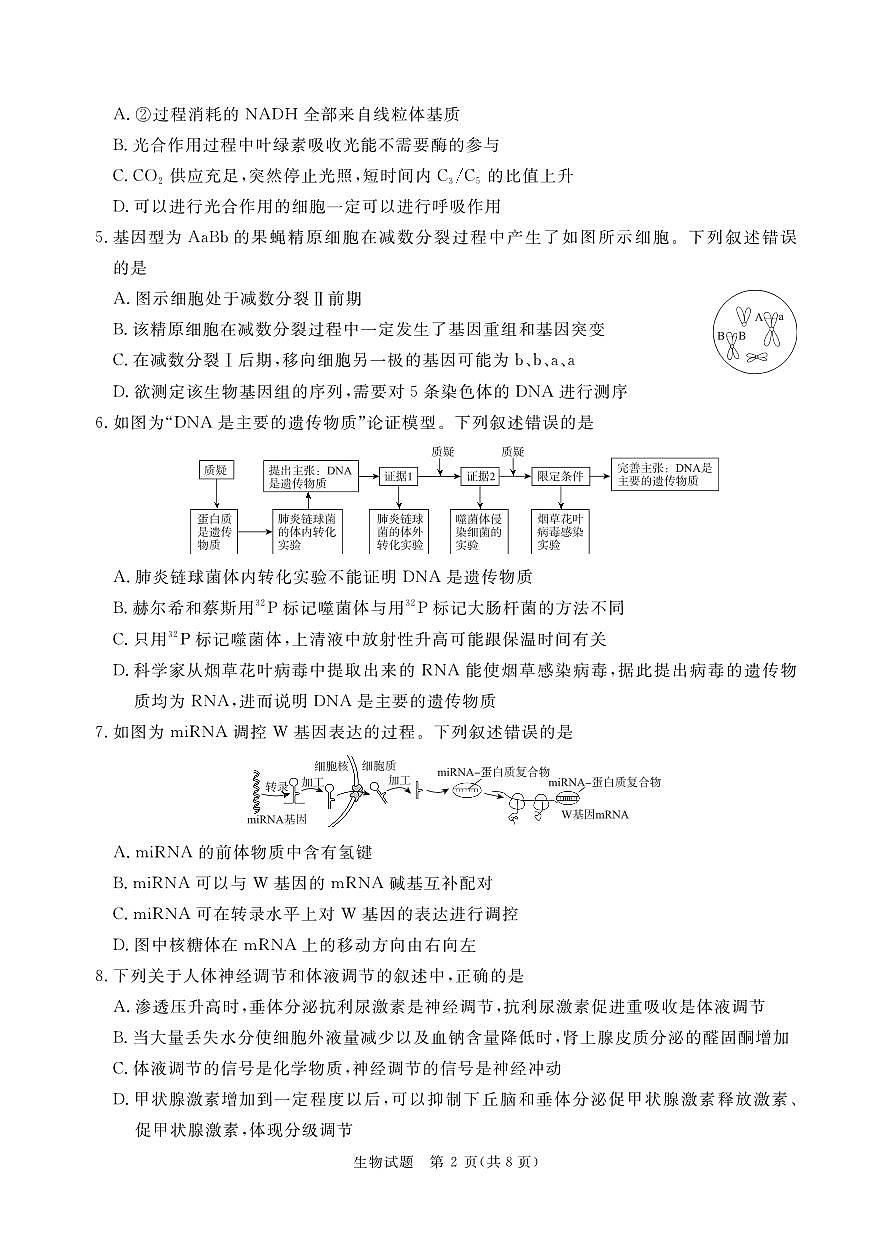 2月高三联考生物通用版正文印刷文件2025.1.25第2页
