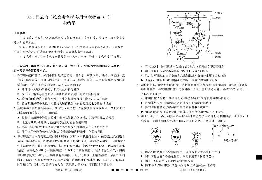 2026届高三上学期云南三校高考备考实用性联考卷（三）生物试卷（无答案）第1页