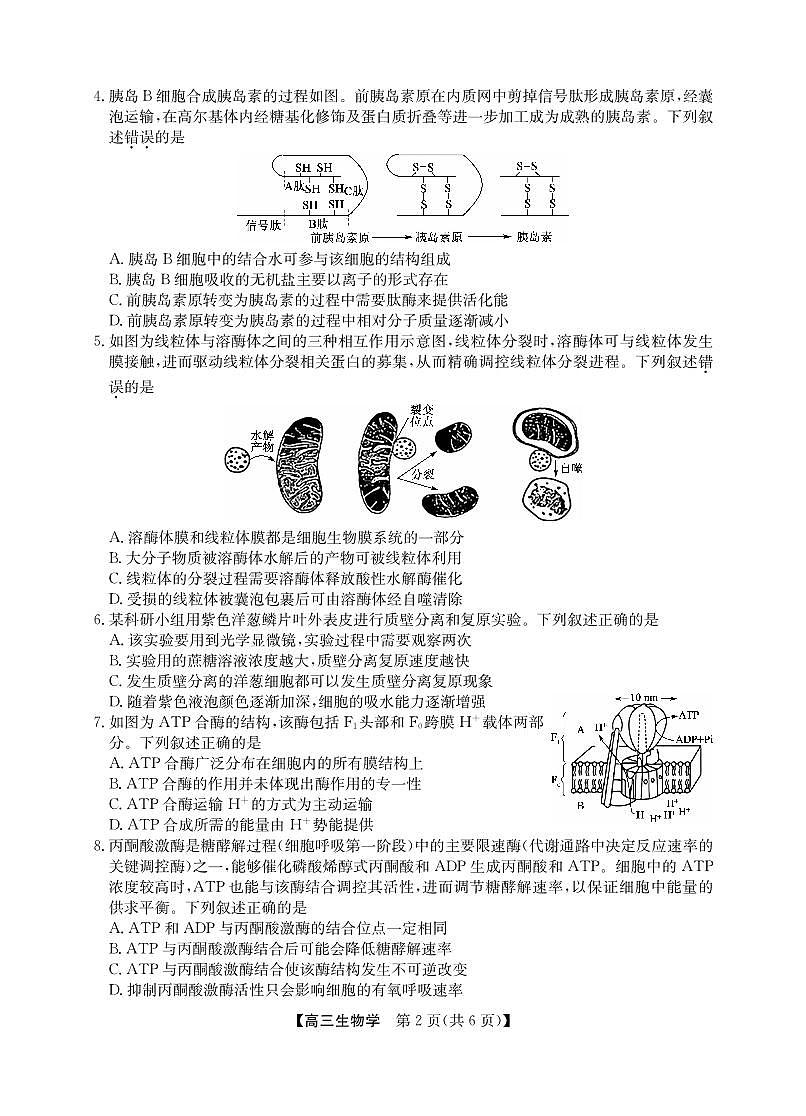 2025年“江南十校”新高三上学期第一次综合素质检测生物试卷（无答案）第2页