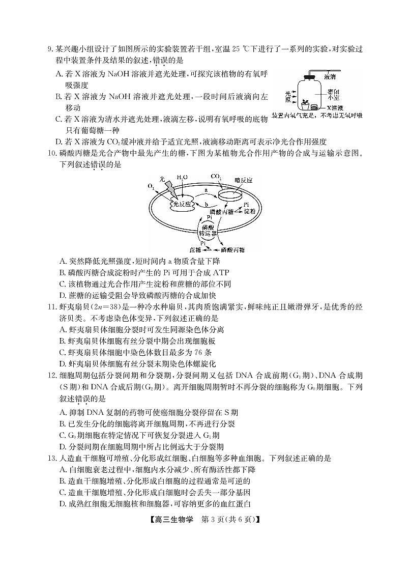 2025年“江南十校”新高三上学期第一次综合素质检测生物试卷（无答案）第3页