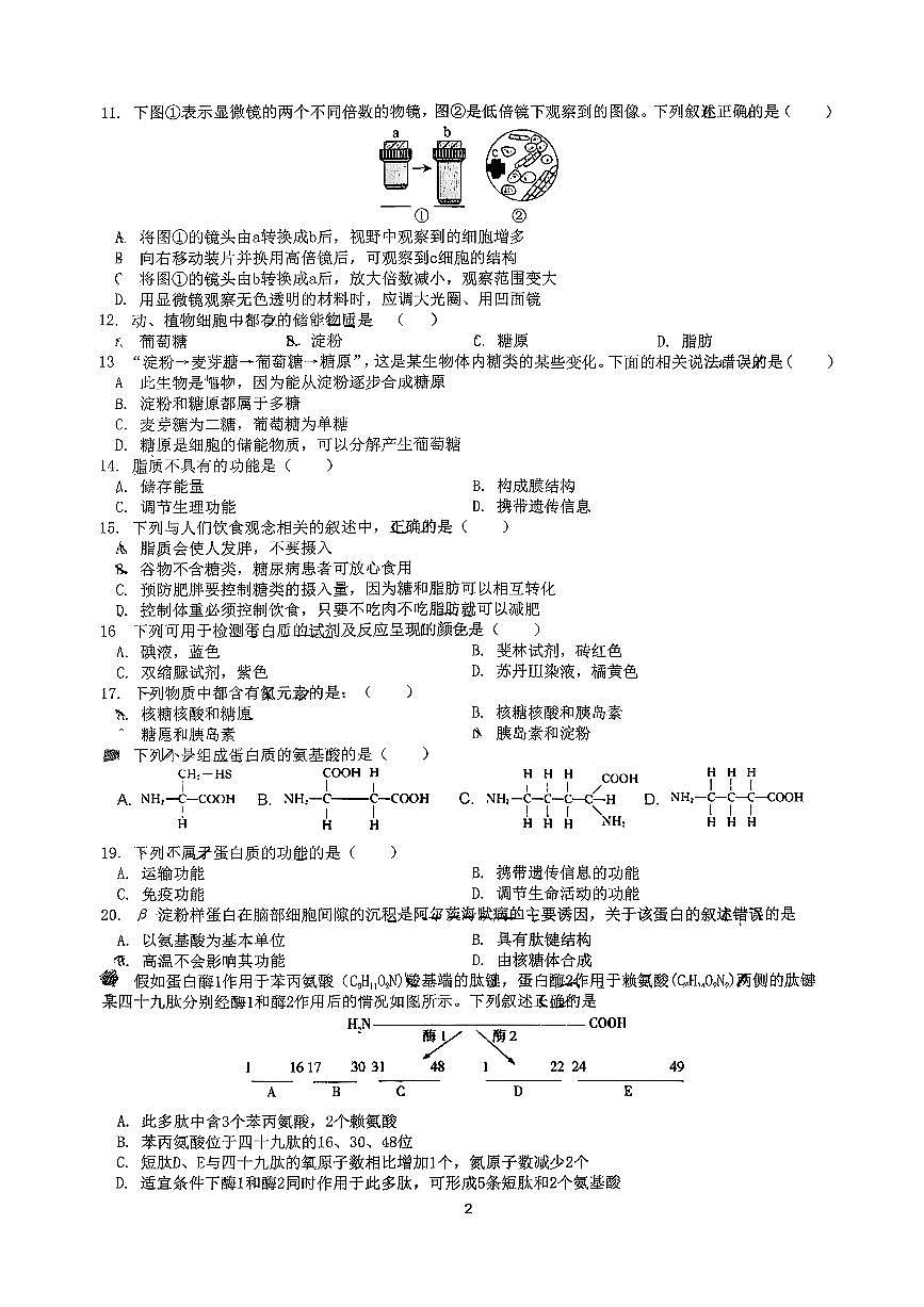 北京市海淀区北京交大附中2025-2026学年高一上学期期中生物试题第2页