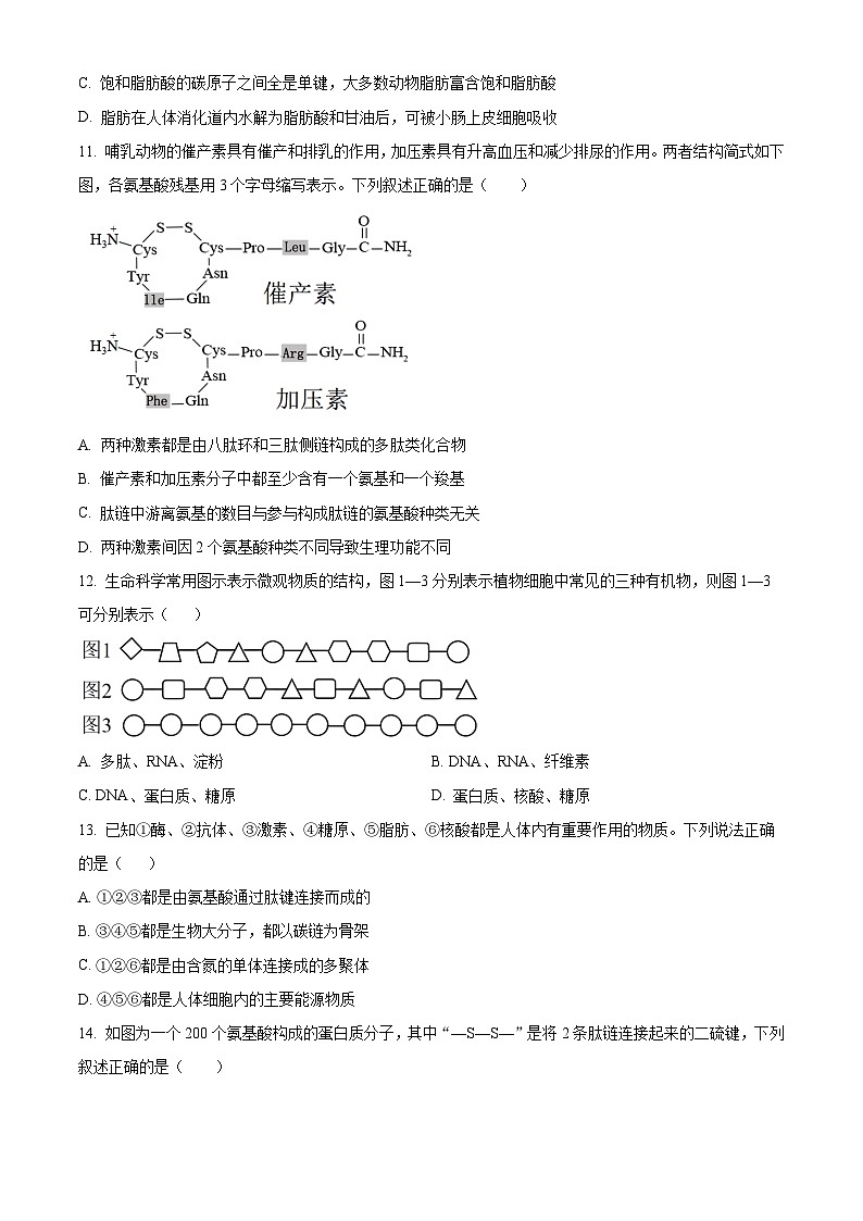 湖北省荆州市荆州中学2025-2026学年高一上学期10月月考生物试卷第3页
