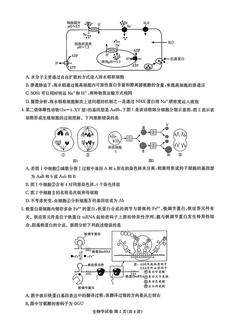 湖南省湘东教学联盟联考2026届高三上学期11月考试生物试卷第2页