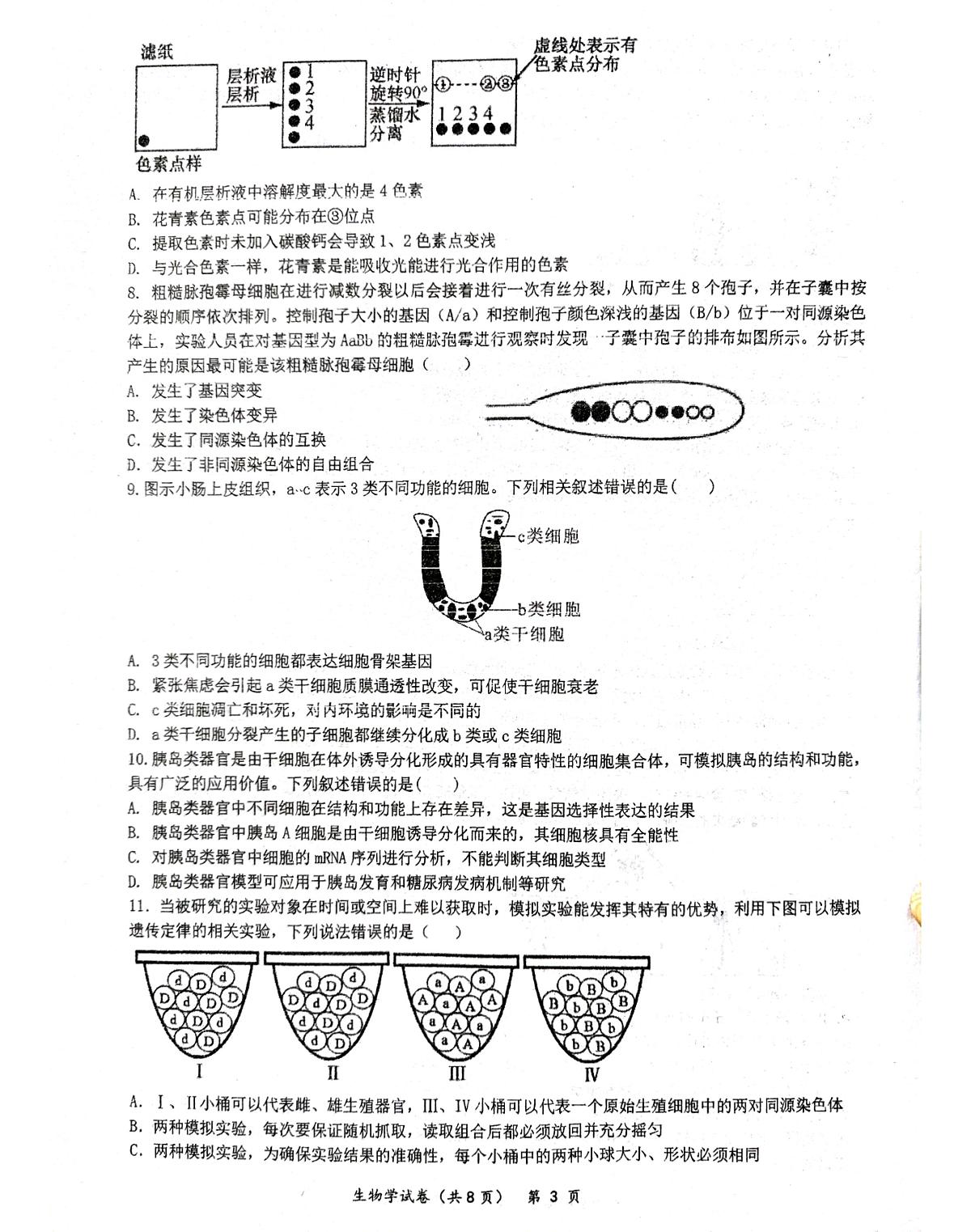 湖北省仙桃中学2026届高三上学期期中考试生物试卷（扫描版附答案）第3页