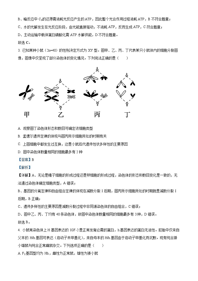 湖南省长沙市开福区湖南省长沙市第一中学2025-2026学年高三上学期月考（三）生物试题 Word版含解析第2页