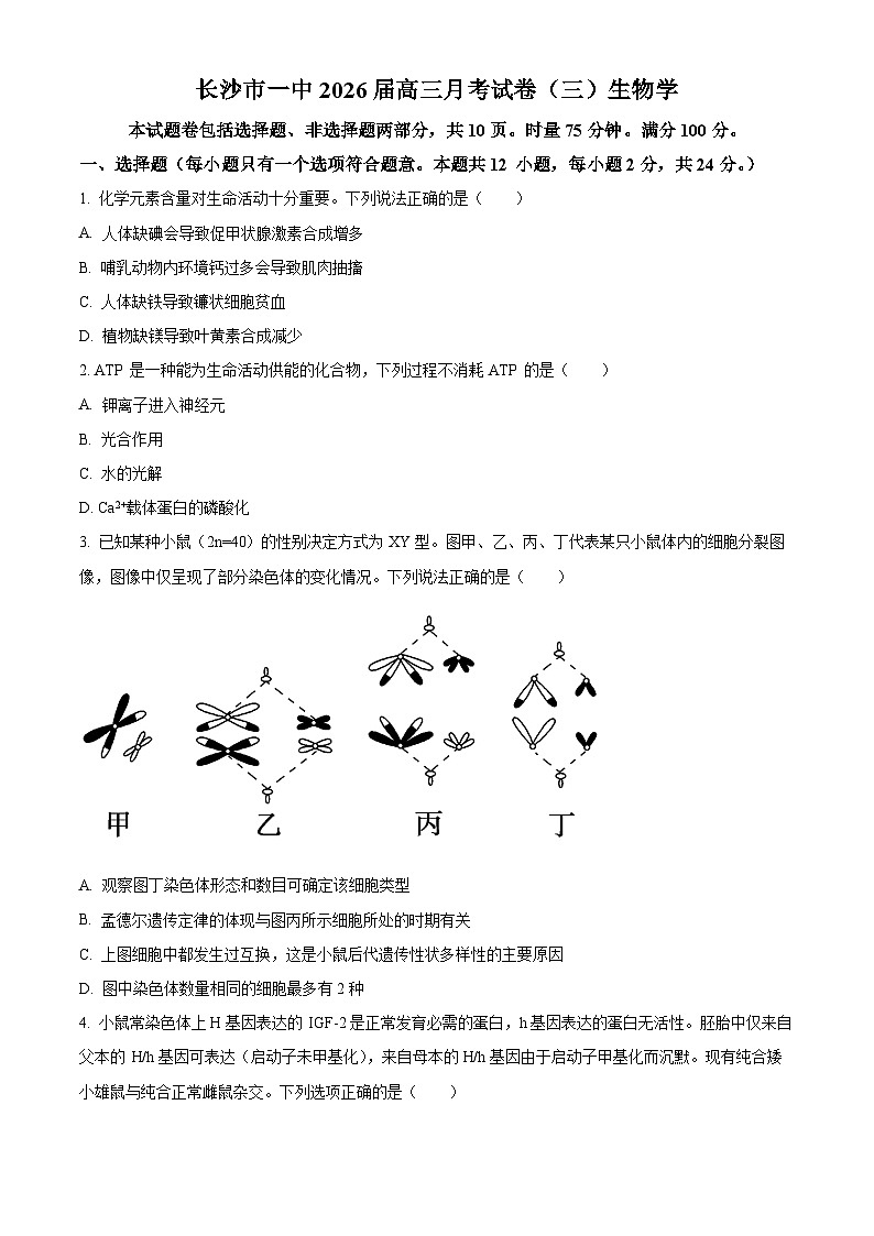 湖南省长沙市开福区湖南省长沙市第一中学2025-2026学年高三上学期月考（三）生物试题（原卷版）第1页