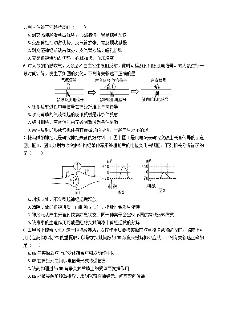2027届高二上学期期中生物试题第2页