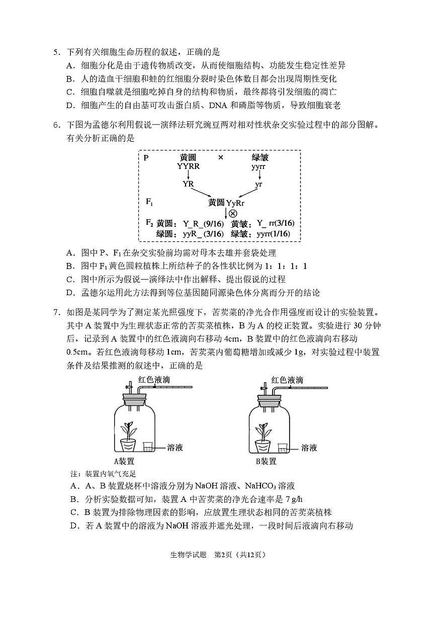 2026届哈尔滨第三中学高三上学期期中考试生物（含答案）第2页