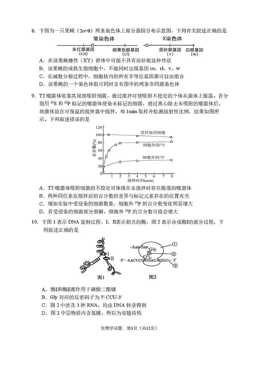 2026届哈尔滨第三中学高三上学期期中考试生物（含答案）第3页