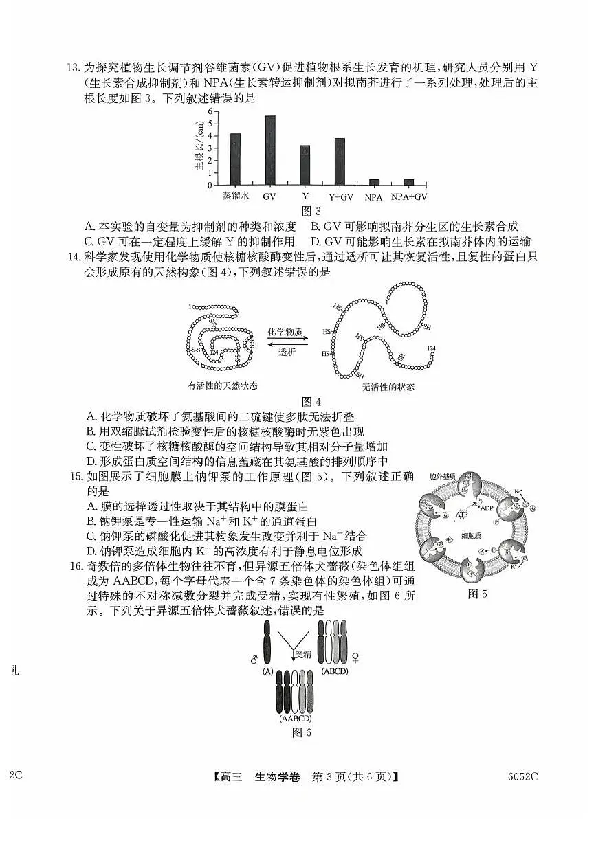 广东省清远市2025-2026学年高三上学期10月教学质量检测（一）生物试题（含答案）第3页