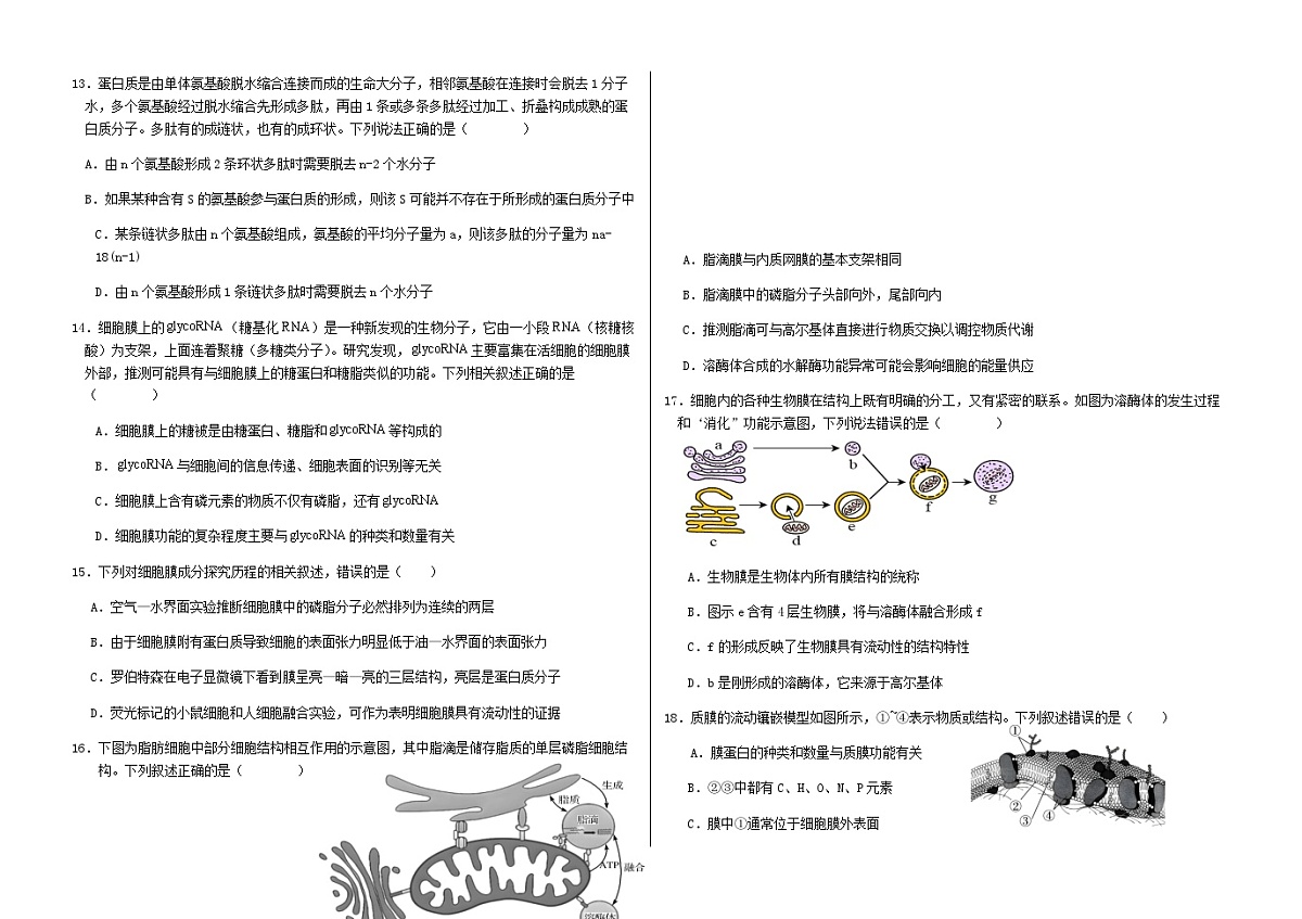高一年级10月份月考生物试题第3页